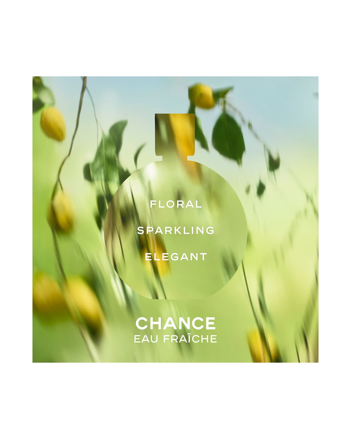 Chance Eau Fraîche Eau de Parfum by CHANEL 100 ml - view 2